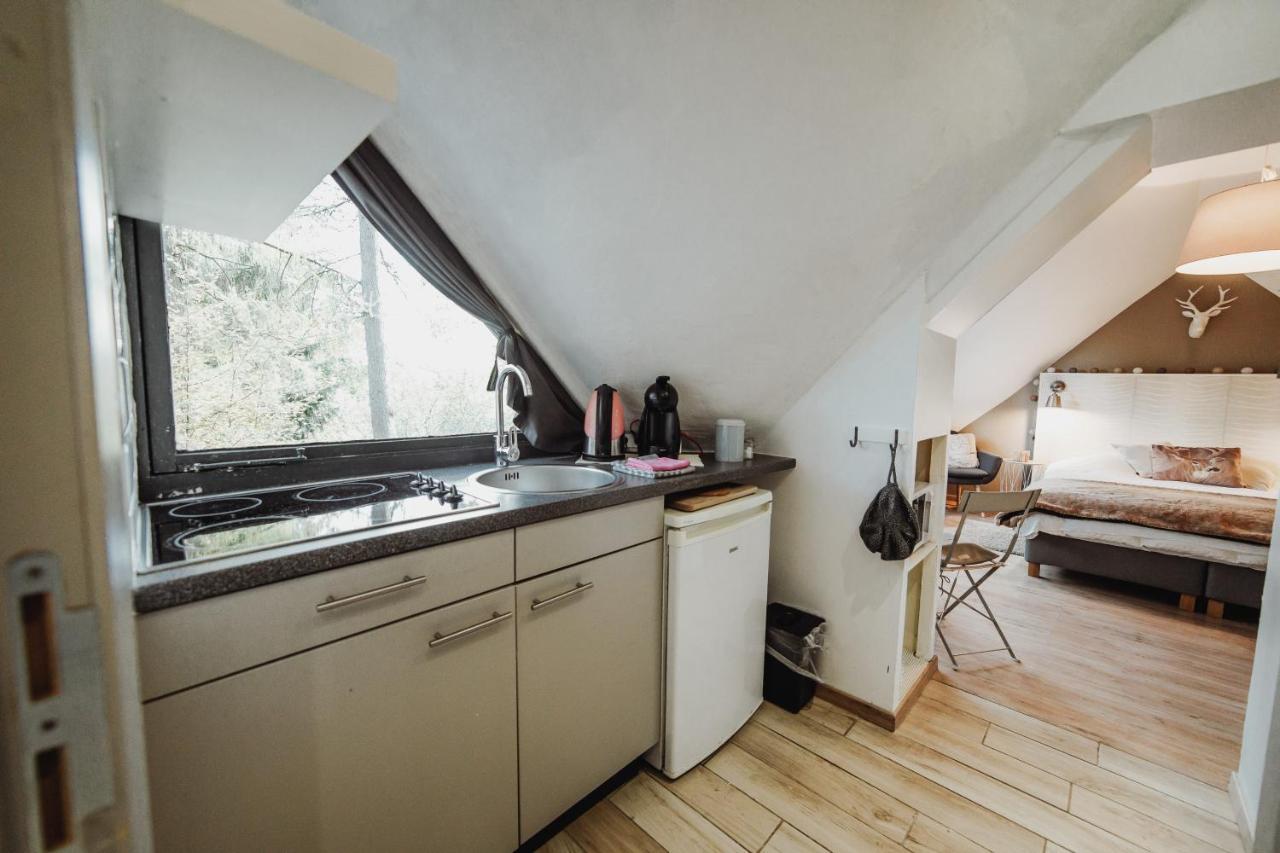 Chalet Scandinave Avec Sauna Ir - In The Woods Gesves Kültér fotó